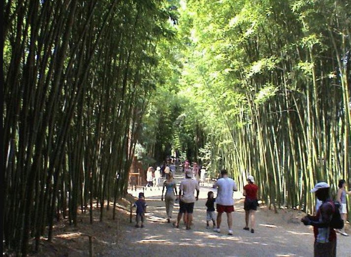 The Bamboo Cevennes, Générargues, France, France